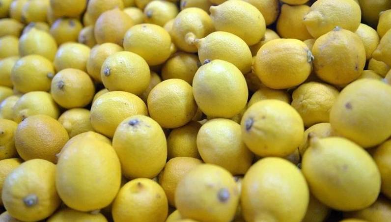 Limon Çekirdekleri Neden Yutulmamalı? Uzmanlardan Önemli Uyarı