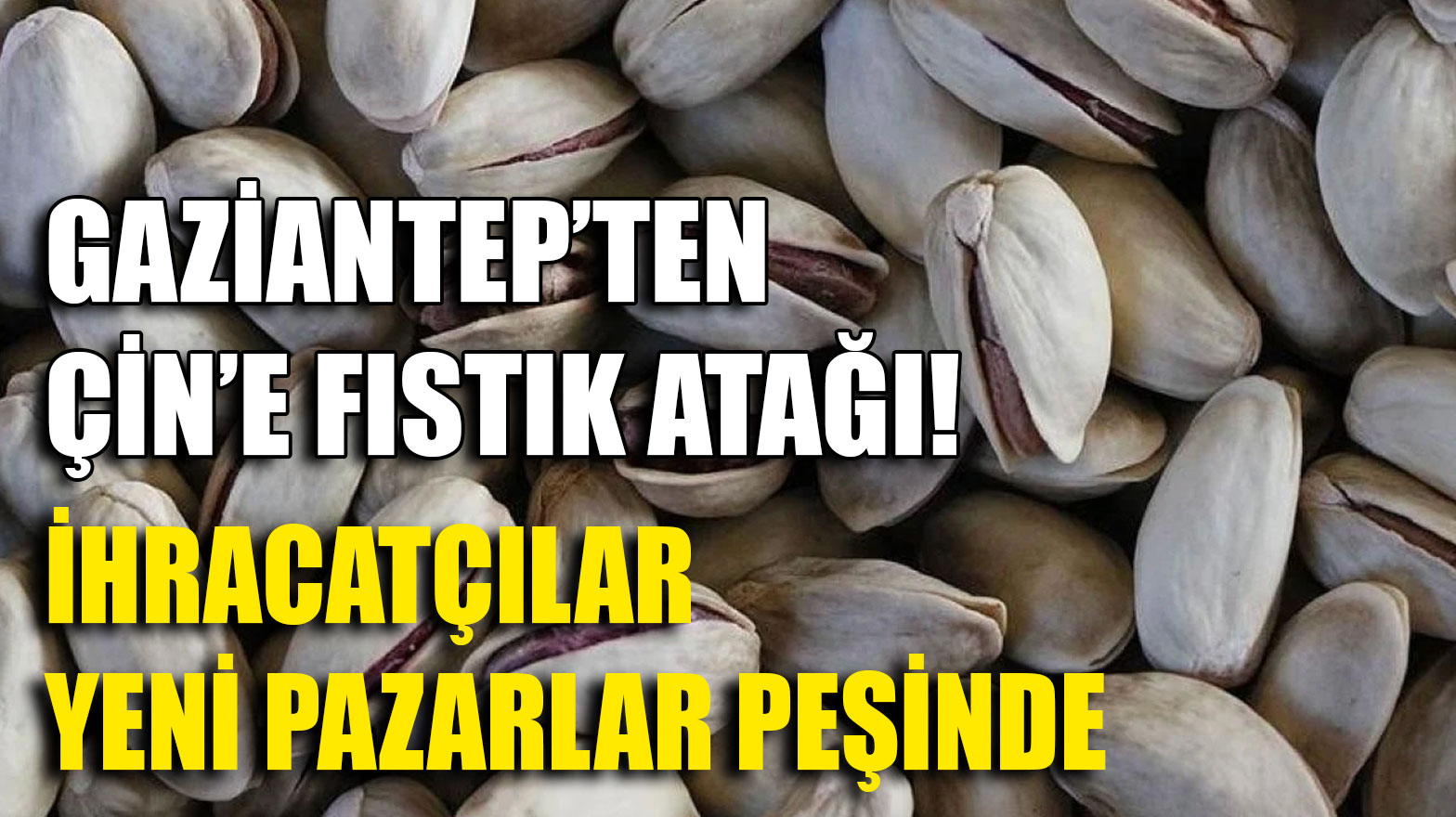 Gaziantep’ten Çin’e Fıstık Atağı! İhracatçılar Yeni Pazarlar Peşinde