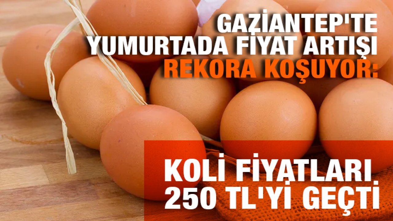Gaziantep'te Yumurtada Fiyat Artışı Rekora Koşuyor: Koli Fiyatları 250 TL'yi Geçti