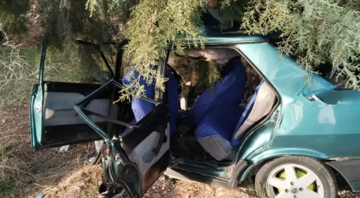 Gaziantep'te Dehşet Anları! Otomobil Ağaca Çarptı: 2 Kişi Yaralı