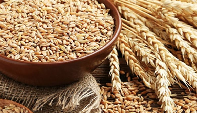 Gaziantep Ticaret Borsası 10 Nisan 2025 Günlük Salon Satış Fiyatlarını Açıkladı!