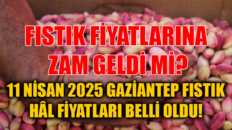11 Nisan 2025 Gaziantep Fıstık Hâl Fiyatları Belli Oldu! Fıstık Fiyatlarına Zam Geldi mi?