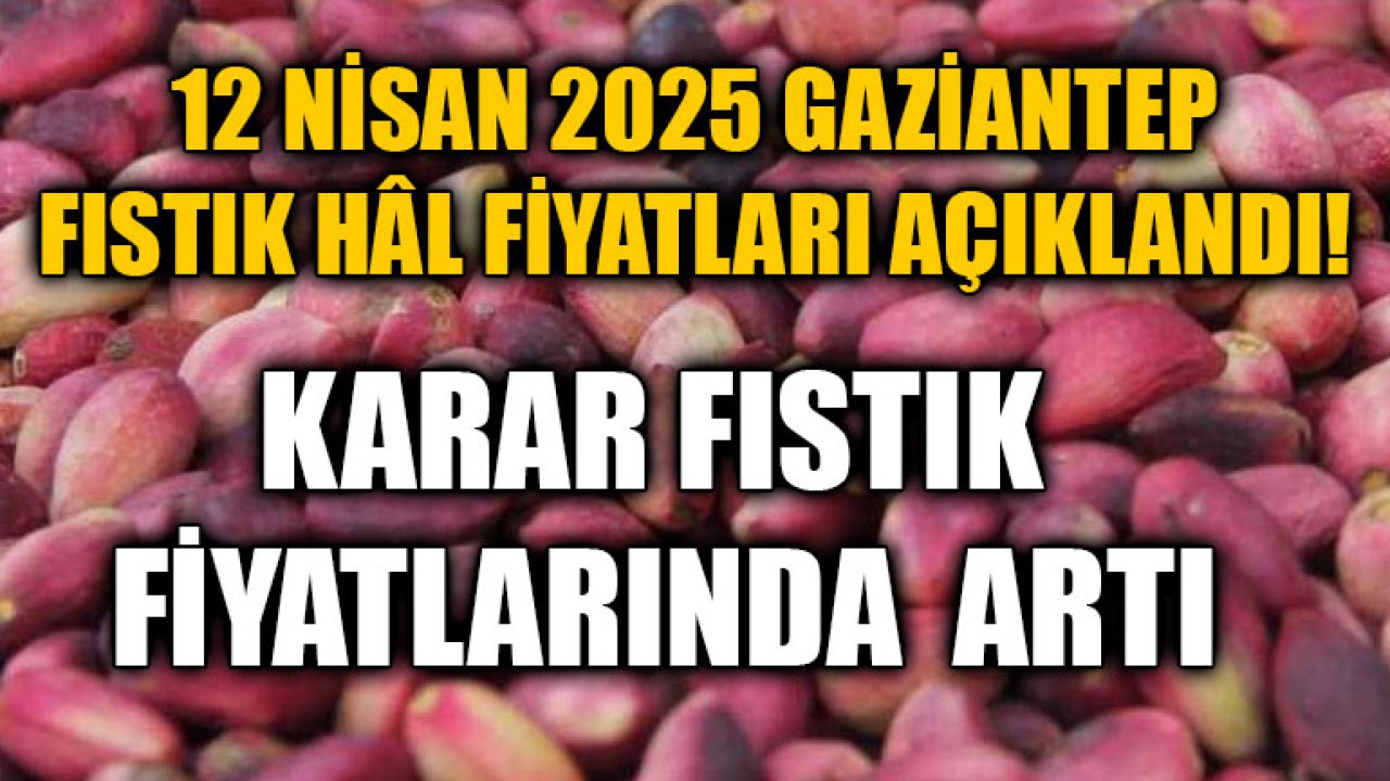 12 Nisan 2025 Gaziantep Fıstık Hâl Fiyatları Açıklandı! Fıstık Fiyatlarında  Artış