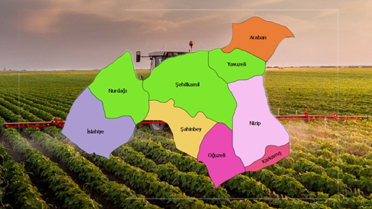 Gaziantep’in En Büyük Kabusu Ortaya Çıktı: Tarımın Yok Oluşu!