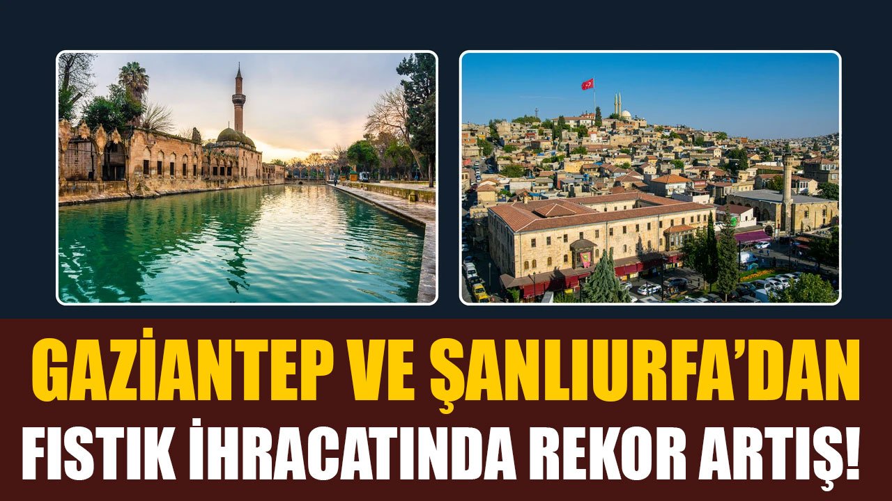 Gaziantep ve Şanlıurfa’dan Fıstık İhracatında Rekor Artış! Türkiye, 60 Milyon Dolar Gelir Elde Etti