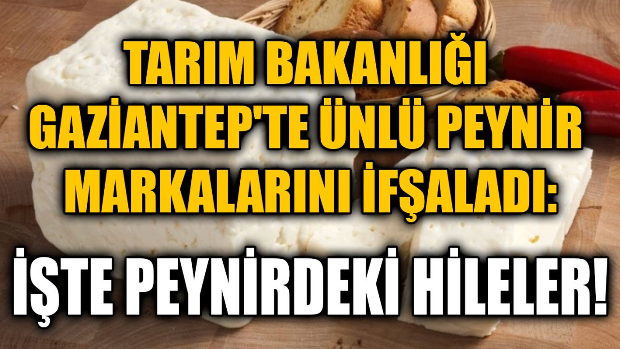 Gaziantep'te Peynir ve Yoğurda Zehir Karıştırdılar! Bu Markaları Almayın ve Yemeyin