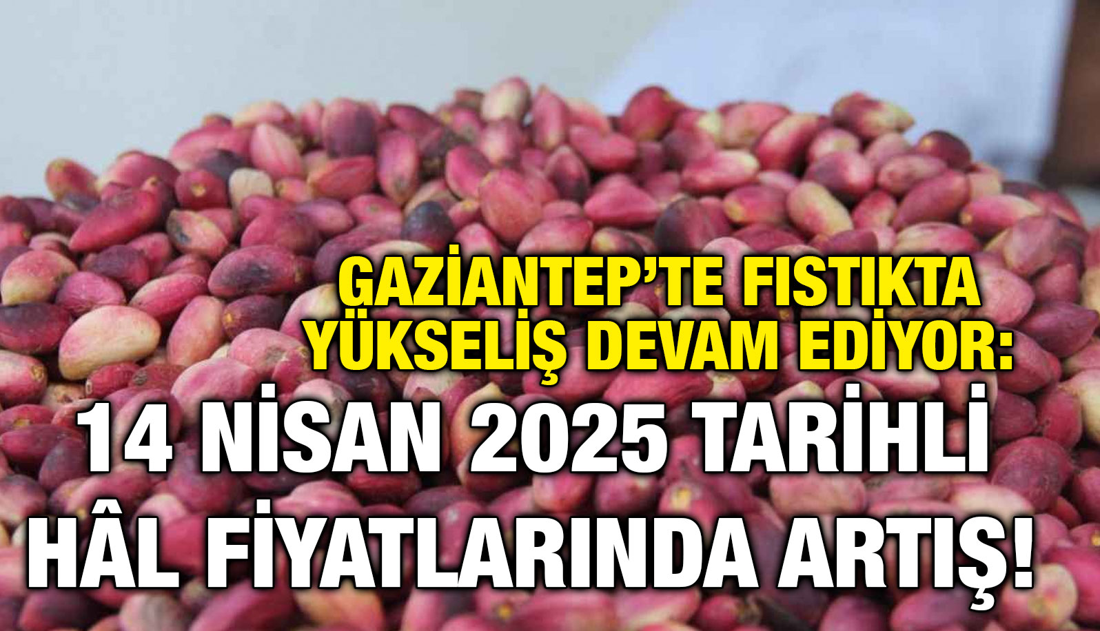 Gaziantep’te Fıstıkta Yükseliş Devam Ediyor: 14 Nisan 2025 Tarihli Hâl Fiyatlarında Artış!