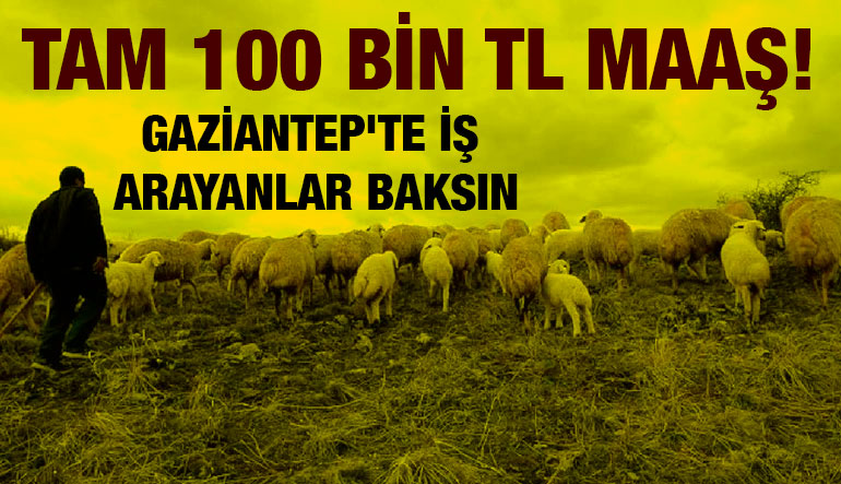 Tam 100 Bin TL Maaş! Gaziantep'te İş Arayanlar Baksın