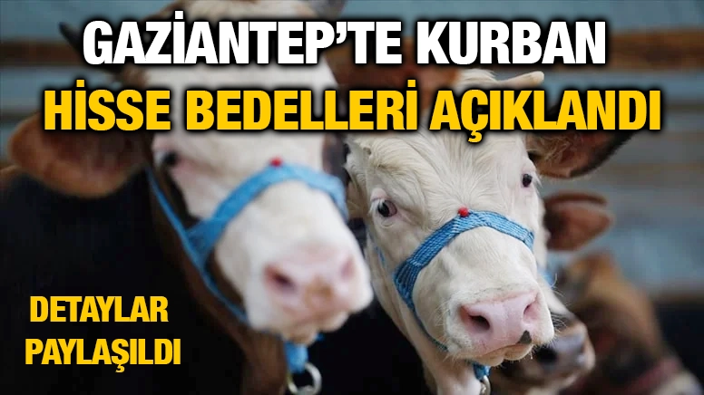 Gaziantep’te Kurban Hisse Bedelleri Açıklandı