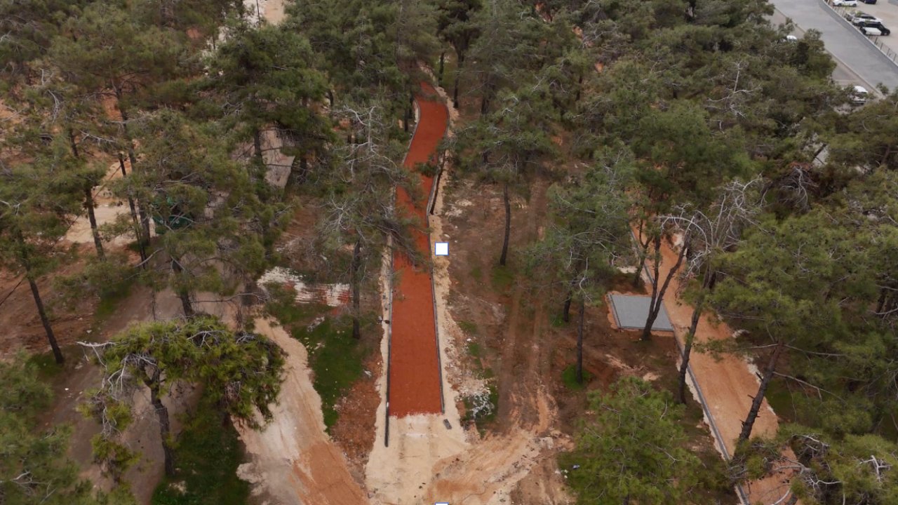 Gaziantep'e Dev Orman Projesi: 142 Bin Metrekare Olacak