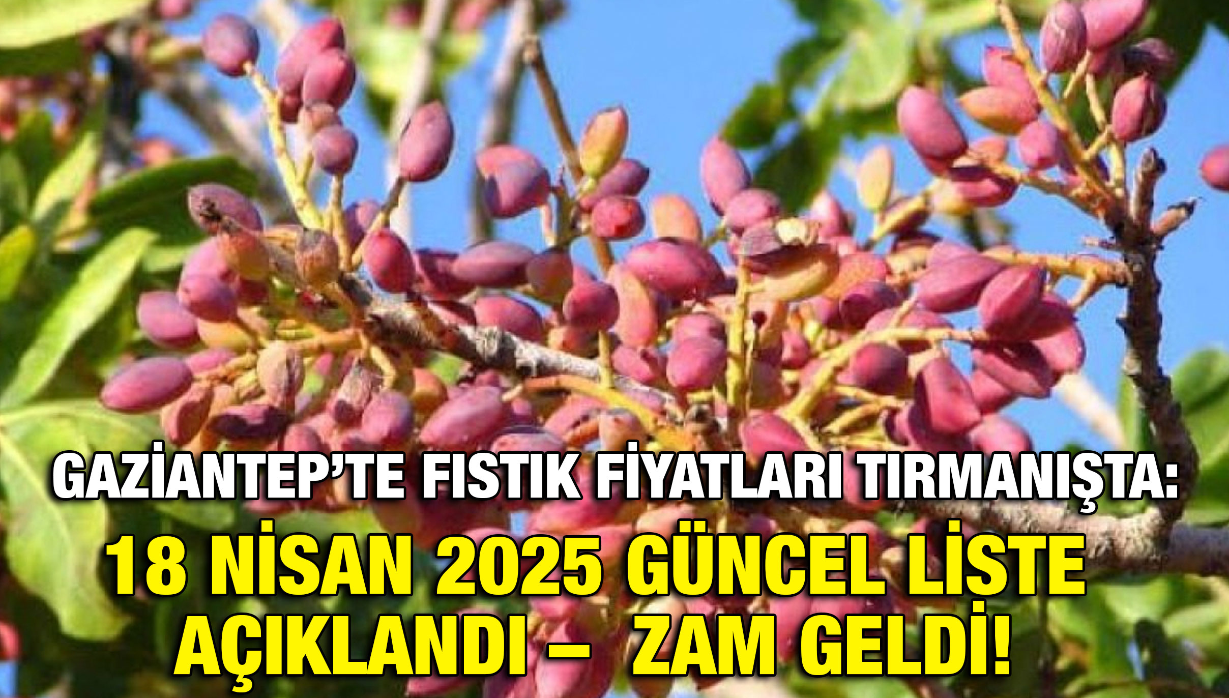 Gaziantep’te Fıstık Fiyatları Tırmanışta: 18 Nisan 2025 Güncel Liste Açıklandı – Zam Geldi!