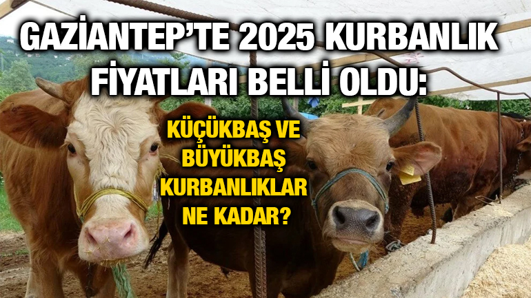 Gaziantep’te 2025 Kurbanlık Fiyatları Belli Oldu: Küçükbaş ve Büyükbaş Kurbanlıklar Ne Kadar?