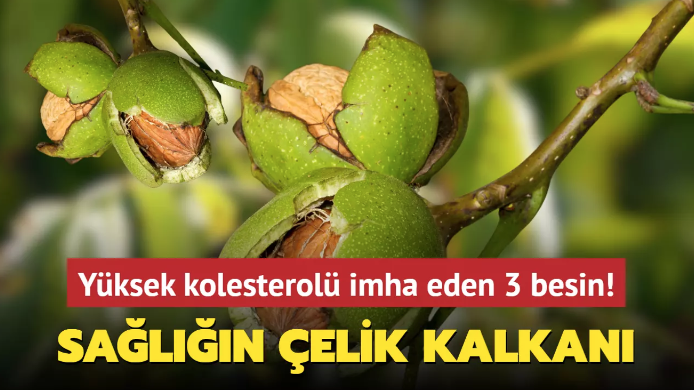 Gaziantep’te Kolesterolü Olanlara Müjde: Bu 3 Besinle Felç Riski Azalıyor, Kalp Sağlığı Güçleniyor!