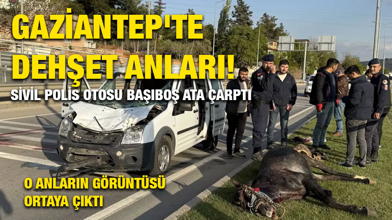 Gaziantep'te Dehşet Anları! Sivil Polis Otosu Başıboş Ata Çarptı:O Anların Görüntüsü Ortaya Çıktı