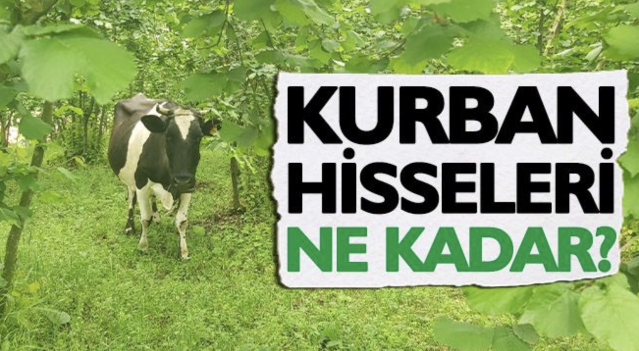 Gaziantep'te 2025 Kurbanlık Fiyatları Cep Yakıyor: Hazırlıklar Başladı