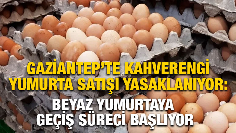 Gaziantep’te Kahverengi Yumurta Satışı Yasaklanıyor: Beyaz Yumurtaya Geçiş Süreci Başlıyor