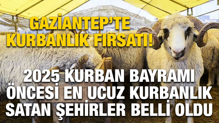 Gaziantep'te Kurbanlık Fırsatı! 2025 Kurban Bayramı Öncesi En Ucuz Kurbanlık Satan Şehirler Belli Oldu