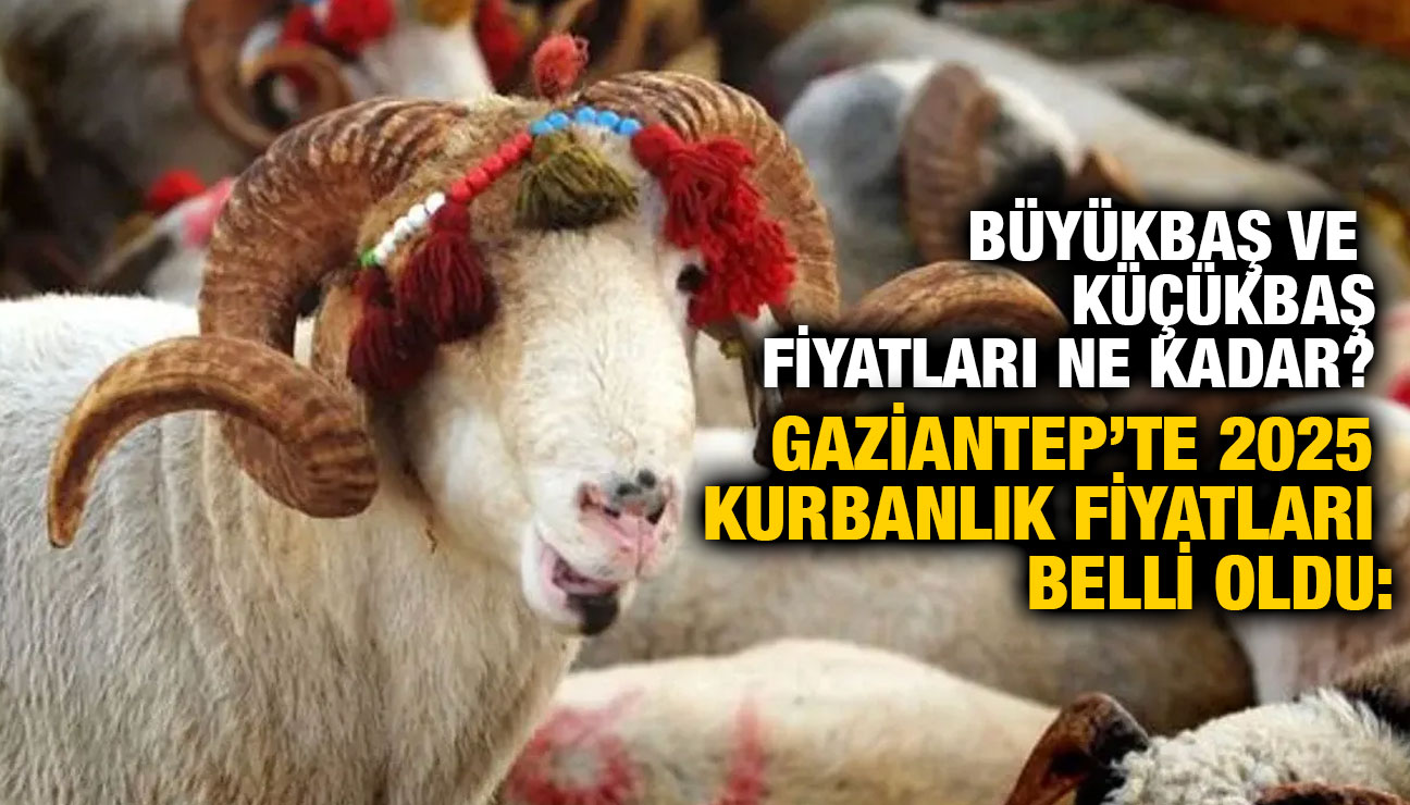 Gaziantep’te 2025 Kurbanlık Fiyatları Belli Oldu: Büyükbaş ve Küçükbaş Fiyatları Ne Kadar?