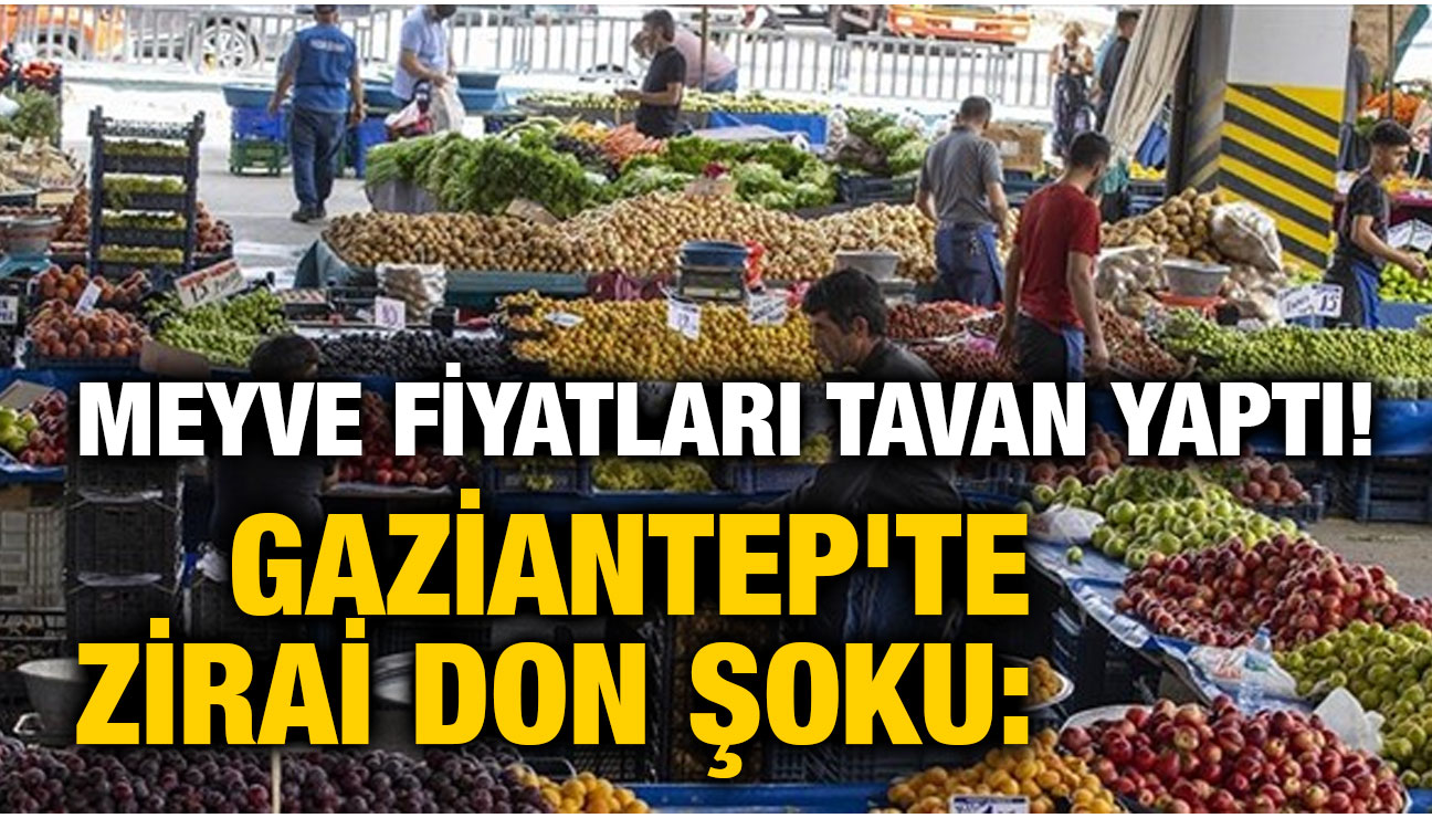 Gaziantep'te Zirai Don Şoku: Meyve Fiyatları Tavan Yaptı!