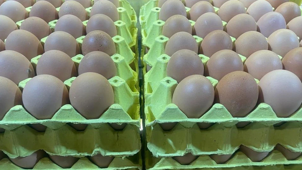 Gaziantep'te Yumurta Fiyatlarında Düşüş Başladı: Mayıs Çukuru Yaklaşırken Durum Ne?