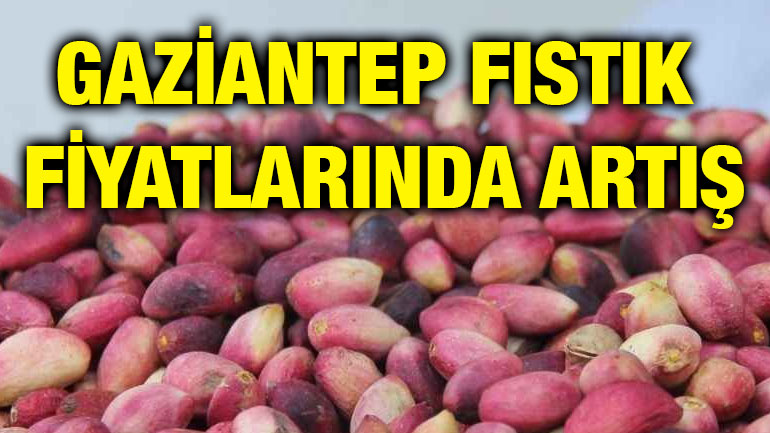 Gaziantep 26 Nisan 2025 Güncel Fıstık Fiyatları Fıstık Fiyatlarında Artış! Fıstığa Ne Kadar Zam Geldi?
