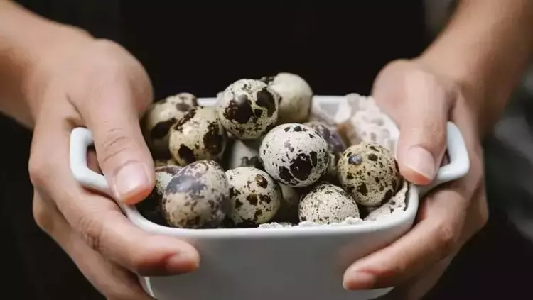 Tavuk Yumurtasına Alternatif: Bıldırcın Yumurtasıyla Sağlıklı Yaşama Adım Atın!