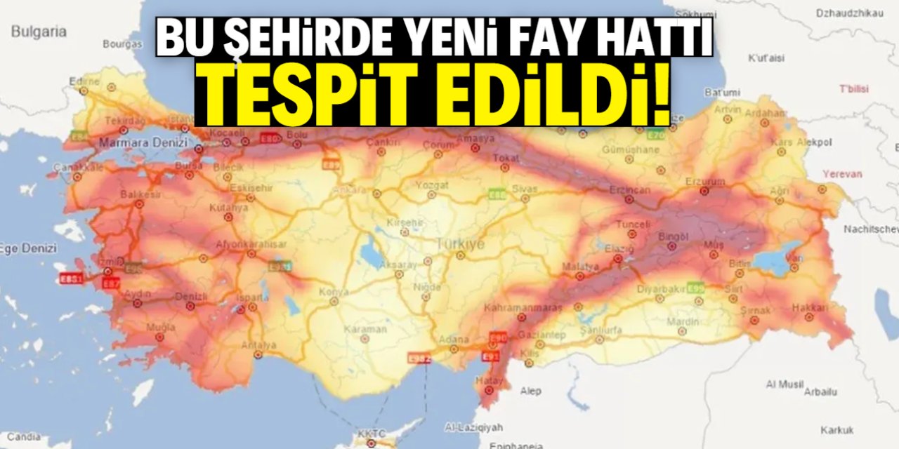 Yeni Fay Hattı Ortaya Çıktı: Tehlike Çanları Çalıyor