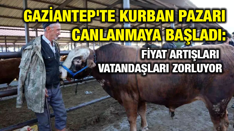 Gaziantep'te Kurban Pazarı Canlanmaya Başladı: Fiyat Artışları Vatandaşları Zorluyor