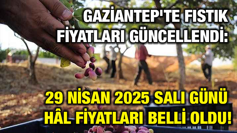 Gaziantep'te Fıstık Fiyatları Güncellendi: 29 Nisan 2025 Salı Günü Hâl Fiyatları Belli Oldu!