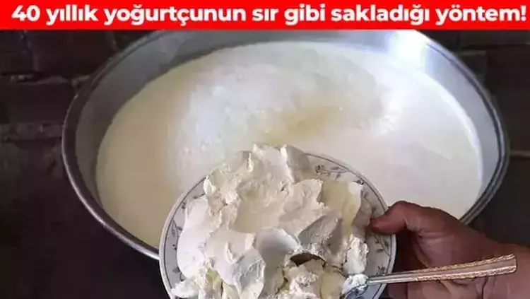 40 Yıllık Yoğurtçudan Altın Değerinde Bir Yöntem: Taş Gibi Yoğurt Yapmak İçin 15 Nohut Ekleyin!