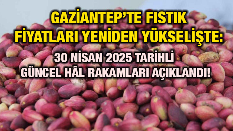 Gaziantep’te Fıstık Fiyatları Yeniden Yükselişte: 30 Nisan 2025 Tarihli Güncel Hâl Rakamları Açıklandı!