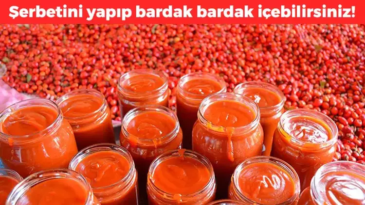Sabahları Bu Şerbeti İçen Diz Ağrısını Unutuyor! Eklem Sıvısını Koruyor, Kemikleri Adeta Çelik Gibi Yapıyor