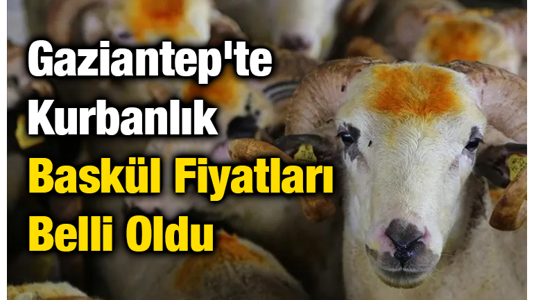 Gaziantep'te Kurbanlık Baskül Fiyatları Belli Oldu