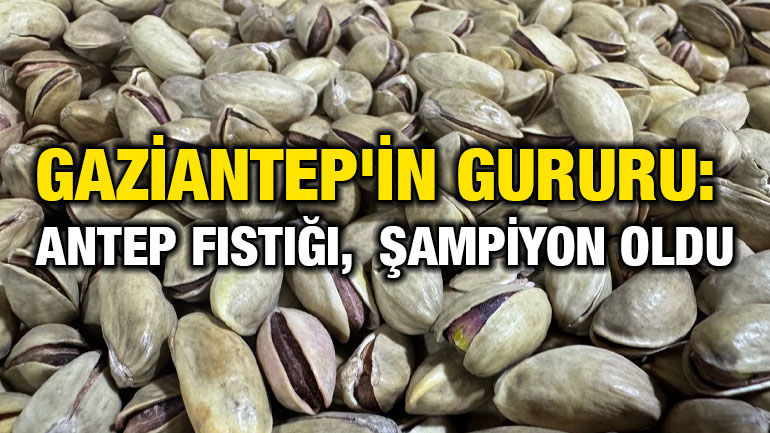 Gaziantep'in Gururu: Antep Fıstığı Şampiyon Oldu