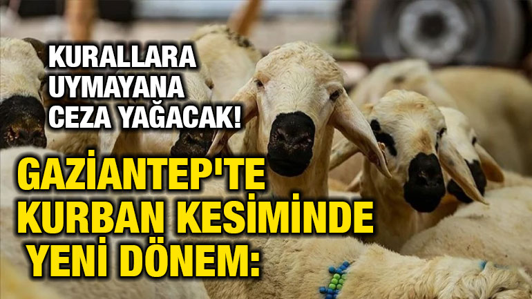 Gaziantep'te Kurban Hazırlıkları Başladı: Kurban Kesim Kurallarına Uymayana Ceza Yağacak!