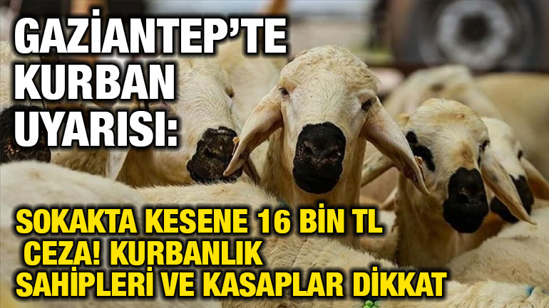 Gaziantep’te Kurban Uyarısı: Sokakta Kesene 16 Bin TL Ceza! Kurbanlık Sahipleri ve Kasaplar Dikkat