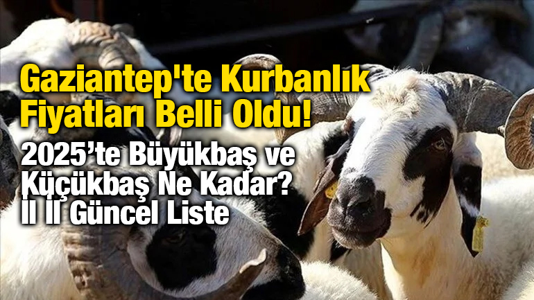 Gaziantep'te Kurbanlık Fiyatları Belli Oldu! 2025’te Büyükbaş ve Küçükbaş Ne Kadar? İl İl Güncel Liste