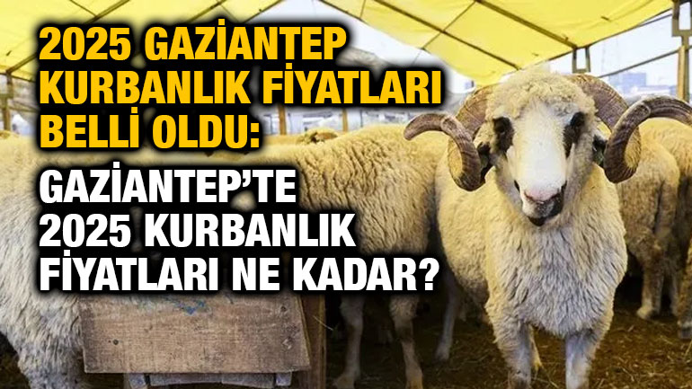 2025 Gaziantep Kurbanlık Fiyatları Belli Oldu: Küçükbaş ve Büyükbaş Hayvanlarda Büyük Artış!