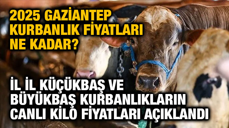 2025 Gaziantep Kurbanlık Fiyatları Ne Kadar? İl İl Küçükbaş ve Büyükbaş Kurbanlıkların Canlı Kilo Fiyatları Açıklandı