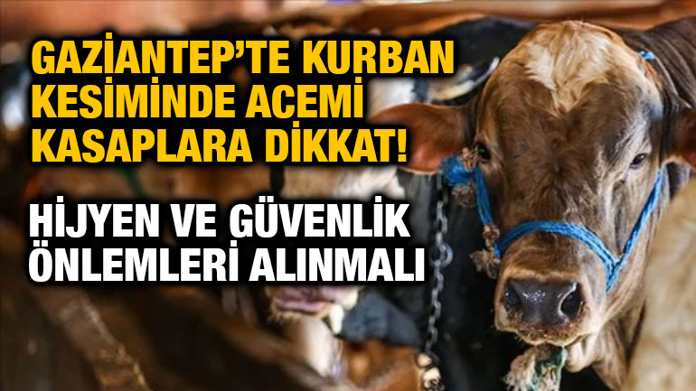 Gaziantep’te Kurban Kesiminde Acemi Kasaplara Dikkat! Hijyen ve Güvenlik Önlemleri Alınmalı