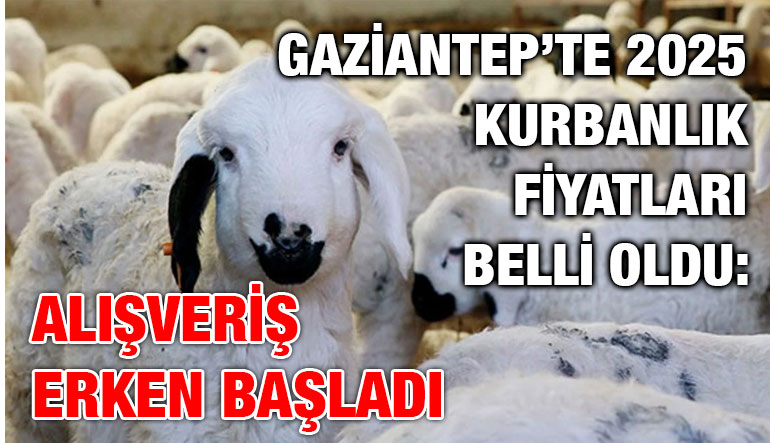 Gaziantep’te 2025 Kurbanlık Fiyatları Belli Oldu: Alışveriş Erken Başladı