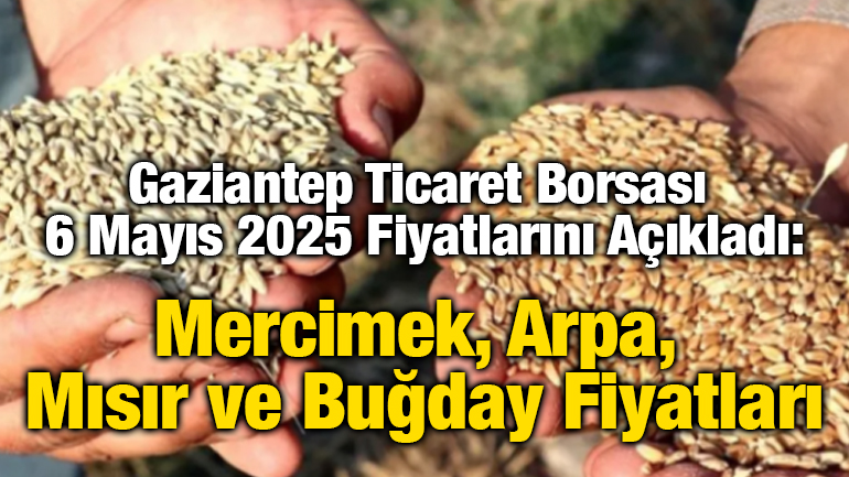 Gaziantep Ticaret Borsası 6 Mayıs 2025 Fiyatlarını Açıkladı: Mercimek, Arpa, Mısır ve Buğday Fiyatları