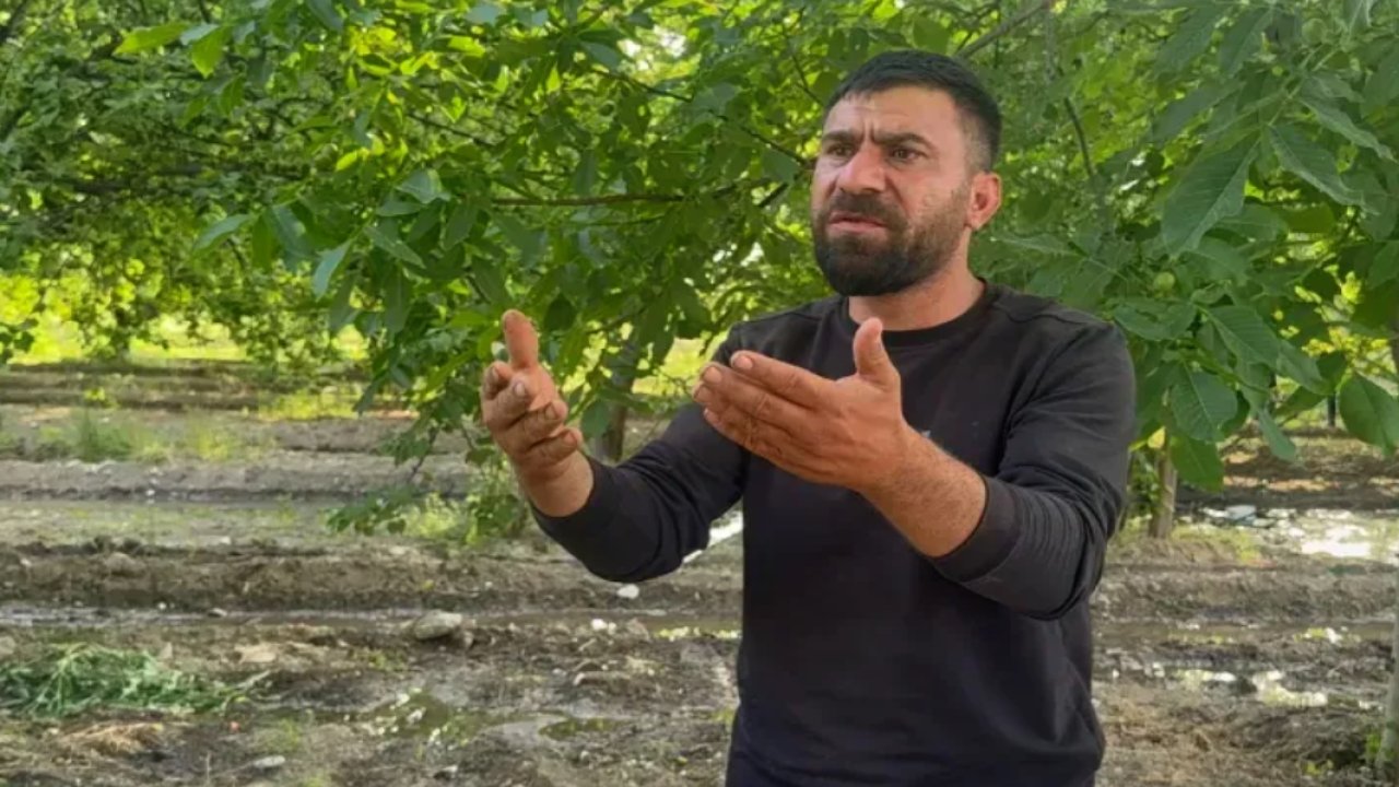 Gaziantep'te çiftçiler ne yapacağını şaşırdı