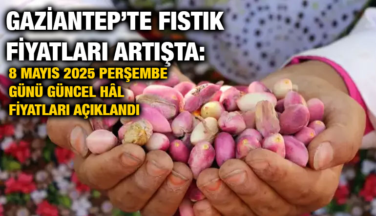 Gaziantep’te Fıstık Fiyatları Artışta: 8 Mayıs 2025 Perşembe Günü Güncel Hâl Fiyatları Açıklandı