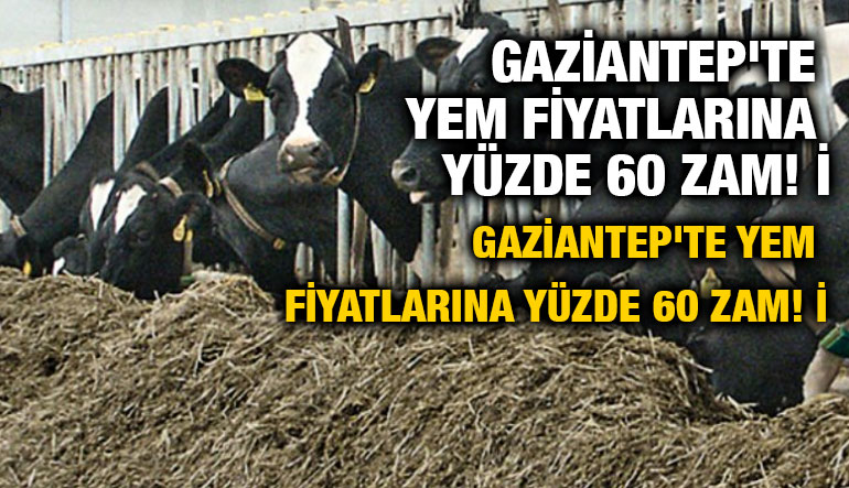 Gaziantep'te Yem Fiyatlarına Yüzde 60 Zam! İşte Gerekçesi ve Çiftçinin Tepkisi