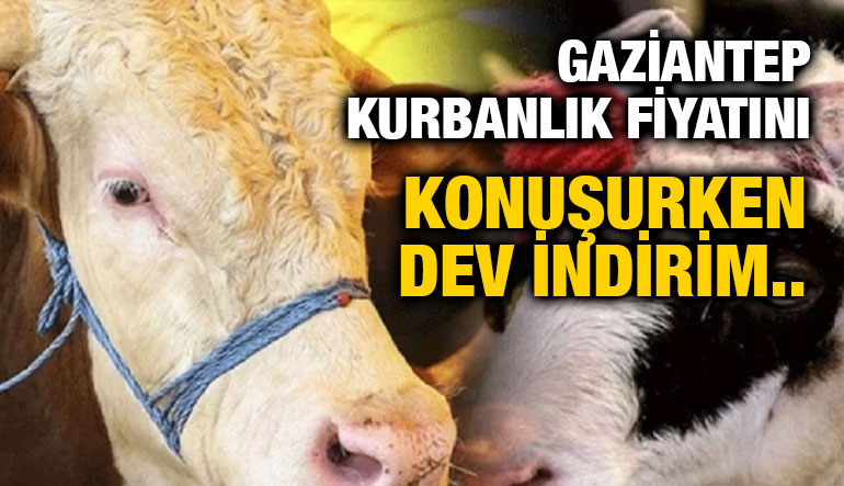 Gaziantep’te Migros 2025 Kurbanlık Fiyatları Açıklandı! Büyükbaş, Küçükbaş ve Bağış Kurbanlık Seçenekleriyle Satışta