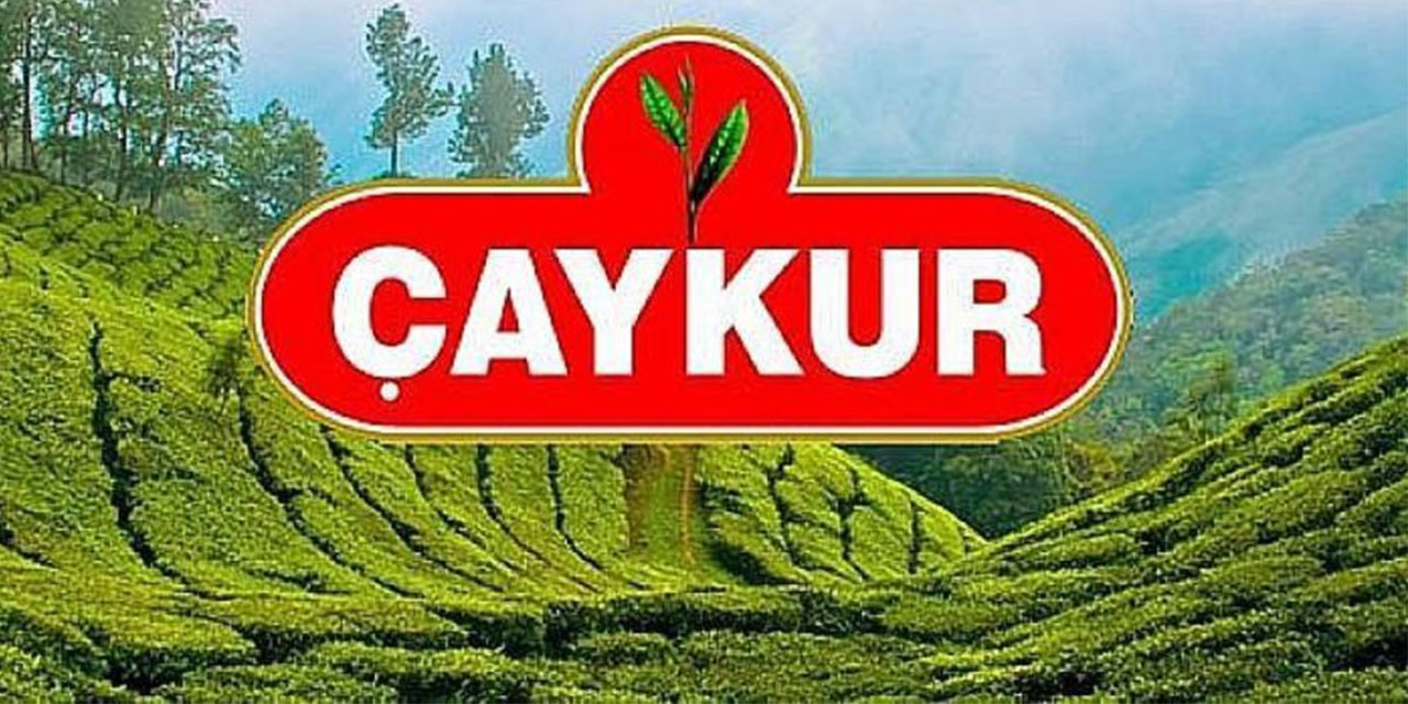 Gaziantep'ten İş Arayanlara Fırsat: ÇAYKUR 1500 Mevsimlik İşçi Alımı Başlatıyor