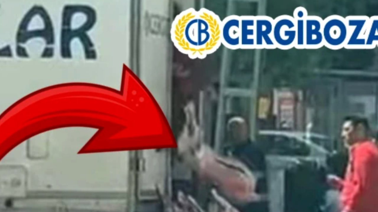 Cergibozanlar Zincir Markete Ceza Yağdı