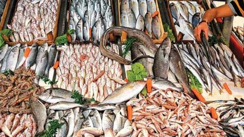 Mayıs Ayında Hangi Balıklar Tüketilmeli? Somon, Mezgit ve Hamsi Yerine İşte Önerilen Balıklar!