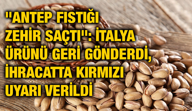 "Antep fıstığı zehir saçtı": İtalya ürünü geri gönderdi, ihracatta kırmızı uyarı verildi